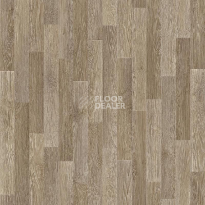 Линолеум Tarkett Sprint Pro ARNO 2 фото 1 | FLOORDEALER